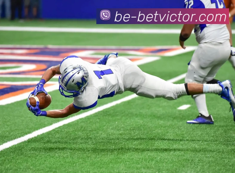 betvictor伟德官网平台生态图