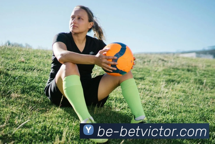 betvictor伟德官网APP 封面图